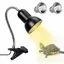 Lampe chauffante pour tortues 2 ampoules UVA UVB 25 W avec support lampe pour terrarium et pince pivotante à 360° éclairage
