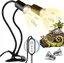 Lampe Chauffante Tortue à Deux Têtes, 25W+50W Lampe Tortue Terrestre UVA+UVB Lampe pour Reptiles avec 2 Ampoule et Minuterie