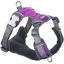 Harnais pour Chien Red Dingo Dingo 47-73 cm 56-80 cm Violet L