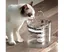 Fontaine à eau pour animaux de compagnie, distributeur automatique de boissons électriques pour chats et chiens, filtre, prise A