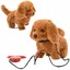 JOUETS INTERACTIFS POUR CHIENS MASCOTTE LAISSE PROMENADE CHIEN COULEURS POUR ENFANTS .