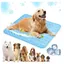 Tapis rafraîchissant pour animaux – Tapis de sol estival maintenant la fraîcheur pour tous types danimaux (Bleu XL : 39