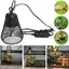 Lampe chauffante UVA/UVB 50 W pour reptiles terrarium couveuse intensité variable pour lézards serpents tortues