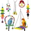 Jouet pour oiseaux - Multicolore - 6Pcs - Sécuritaire - Pour perroquets et perruches - Intérieur