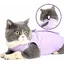 Combinaison de stérilisation pour chat femelle