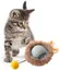 Jouet interactif pour chat,Balle pour chat d'intérieur,Jouet pour chat adulte,Balle intelligente pour chats,Détecteur de mouvement