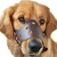Taille L Anti-Aboiement Muselière Cuir Réglable pour Chiens écorce contrôle Muselière Anti Morsure pour Grands Moyenne ma MUSELIERE