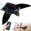 Jouet pour chat oiseau battant jouet pour chat simulé à télécommande battant pour toutes les races jouet pour chat aile