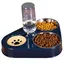 Gamelle double en acier inoxydable pour chats gamelle dalimentation 3 en 1 pour chats