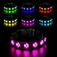 LED Collier Lumineux pour Chiens, Lumière Collier Chien Rechargeable et Etanche, avec 7 Modes d'éclairage(Coloré-S)