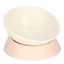 Gamelle inclinée pour animaux de compagnie gamelle pour chiens et chats accessoire dalimentation idéal (blanc)