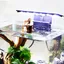 Éclairage daquarium X3 Aquarium LED lampe daquarium 220V 6W plantes aquatiques et poissons Nano Aquarium Éclairage