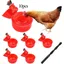 Abreuvoir poules automatique DIY 10 pièces pour volailles Label