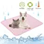 Tapis Rafraîchissant Chien Rose 100x75cm  Taille XL  Coussin Glace Été Grand Chien Chat