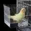 Bain doiseaux acrylique transparent avec crochets - 13x11x13 cm pour perruches et petits oiseaux