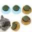 4 boules d'herbe à chat interactives, jouets rotatifs pour chaton, aide au nettoyage des dents, taille 5x4 cm