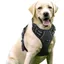 Harnais chien anti traction arnet pour chien facile à mettre réfléchissant réglable attache devant moyen large noir