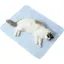 Tapis rafraîchissant dété pour chats et chiens respirant et supramoléculaire matelas rafraîchissant pour animaux de YYV
