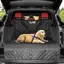 Housse de coffre voiture pour chien protection latérale imperméable et antidérapante facile à nettoyer