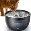 Fontaine à Eau pour Chats 3L avec Filtre Charbon Inclus - Réservoir en Acier Inoxydable Noir