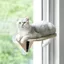 Griffoir sisal et hamac pour chat - lot de 3 plateformes modulables sur ventouses puissantes en bois pour fenêtre