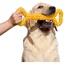 Jouet à Mâcher Résistant en Caoutchouc pour Chien - Os 13 Inch avec Design Convexe - Interactif et Solide pour Chiots et Chiens Ag