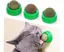 3 boules d'herbe à chat, jouets à mâcher pour chat, jouets à mâcher sûrs et sains pour chaton