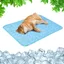 Tapis rafraîchissant pour chiens et chats  Bleu (Grand)  70 x 55 cm  Tapis rafraîchissant sans gel toxique  Effet rafraîchissant
