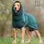 Ensemble peignoir pour chien avec capuche et sangle réglable + serviette pour pattes