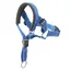 Collier de tête pour animaux de compagnie licol pour chiens collier anti-traction pour chiens Label