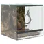 Terrarium avec stockage - vidaXL - Transparent - verre - 30x30x30 cm - Vue panoramique à 360° 282482
