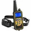 Meloive Collier de Dressage pour Chiens Rechargeable IP67 Porte 800m 99 Niveaux Vibration Choc Son YYV