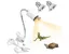 Lampe Chauffante Tortue avec 2 Ampoules(50W UVA/UVB lampe) et Thermomètre E27 Douille Ampoule Pince Pivotante à Réglable(Blanc)