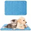 Tapis de Refroidissement pour Chien Tapis Rafraichissant Argent Glacé Tapis Mesh Respirant Ice Silk Autoventilation Pet Mat