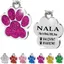 Patte en Acier Plaque Médaillon d’Identification Personnalisé pour Collier Chien Chat Animaux de Compagnie gravée (Fuchsia)