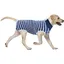 Portez un gilet anti-léchage après lopérationdes vêtements de convalescence post-opératoires des vêtements pour chiens