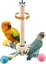 Cage À Oiseaux, Perchoir Rotatif En Bois Naturel Pour Perroquet, Accessoires Pour Perruches, Inséparables, Calopsittes