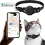 Collier GPS Chat 2026 Nouveau GPS Chat Tracker sans Carte SIM sans Abonnement Localisation Temps Réel ImperméableNoir