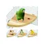 Cage à Oiseaux Perche Support Plate-Forme en Bois Forme de Ventilateur Perroquet Terrain de Jeu Cage Accessoires