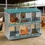 Poulailler - KIMFEAD Pondoir à poules 6 compartiments avec système de roulement des œufs - Acier galvanisé robuste Vert Jardin