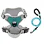 Harnais Laisse pour Chien - Bleu Lac Gris [Harnais + Corde 15 Mètre] Taille M