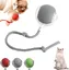 Jouet pour chat balle roulante rayée rechargeable USB jouet tournant automatique idéal pour toutes les tailles et races - Gris