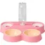 nourriture 4 en 1 pour chats et chiens - Double distributeur  eau - Gamelle lente - Fournitures pour chiens de C