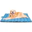Tapis pour Chien Grand Chien lit Lavable pour Chien Oreiller Chien Antistatique hygiénique Pliable Grande Couverture de Voyage