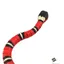 Jouet interactif pour chat jouet électronique à détection intelligente simulation de serpent modèle animal pour le dressage des