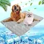 Tapis Rafraîchissant - YYV - M - 60x50cm - Lavable - Antidérapant - Confortable