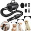 2800W Souffleur pourchien, Sèche-Cheveux pour Chien, Chien Séchoir Sèche-Poils Toilettage Sèche-Cheveux pour Chien Chat Animaux
