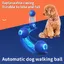 Balle intelligente roulante pour chien et chat, jouet interactif, résistant aux morsures, avec lumière - Bleu