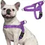 rabbitgoo Harnais Chien Anti Traction Arnet pour Chien Facile à Mettre Harnais Réfléchissant Réglable avec Attache Devant M Violet