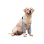 Chien Manchon de Récupération pour Patte Avant Chien Coude Protecteur Joint Protecteur de Jambe pour Chien Protection des Genou